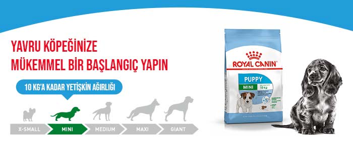 Royal Canin Mini Puppy Küçük Irk Yavru Köpek Maması 