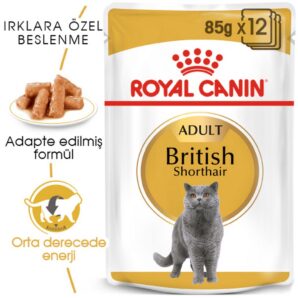 Royal Canin British Shorthair Irkına Özel Kedi Yaş Mama